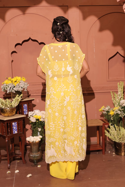 Sunlit Peacock Embroidered Cape Set
