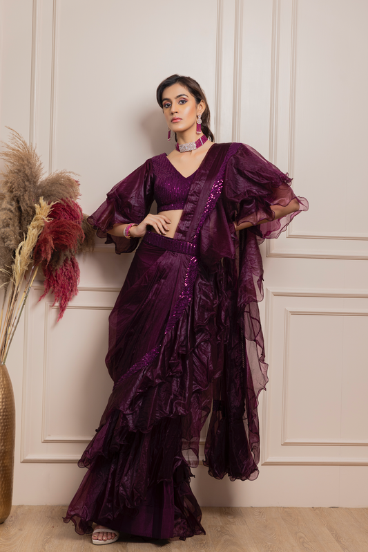 Organza Saree with Flared sleeve sequin blouse