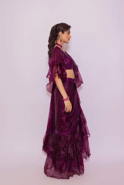 Organza Saree with Flared sleeve sequin blouse