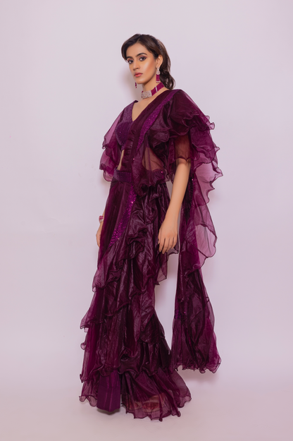 Organza Saree with Flared sleeve sequin blouse